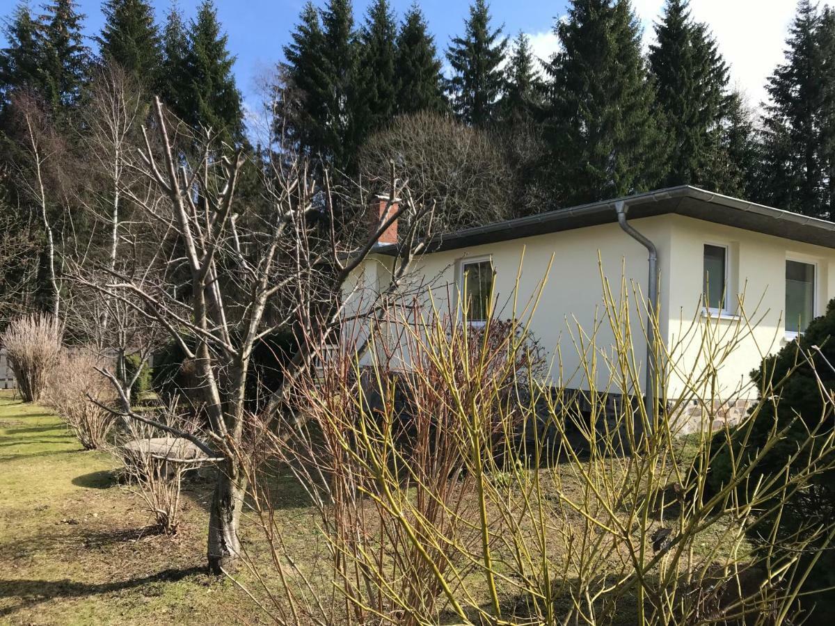 Ferienbungalow Gruenbach Exteriér fotografie